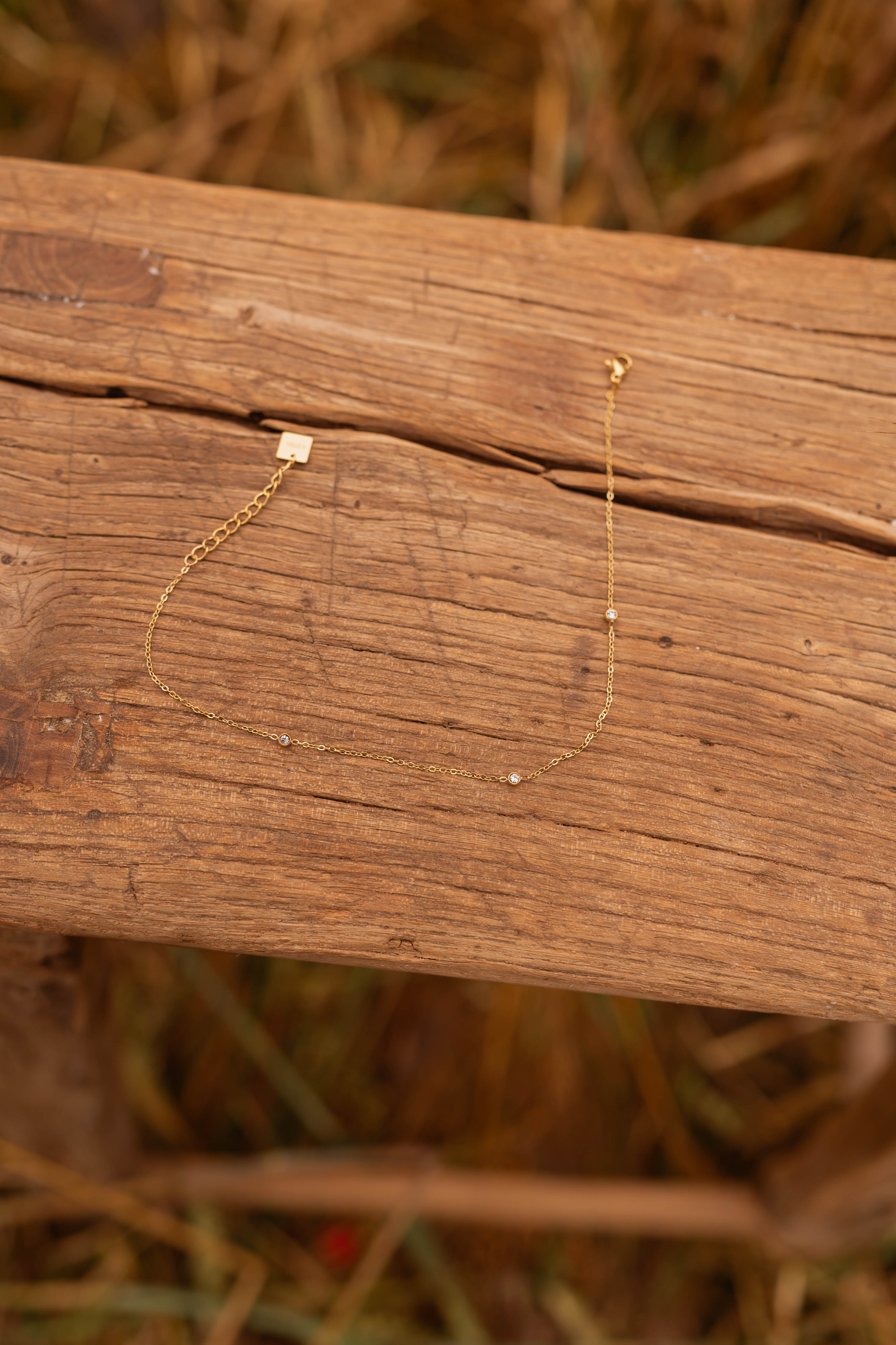 Golden Ruma Anklet